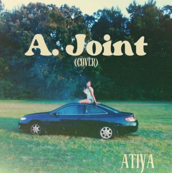 A. Joint — ATIYA artwork